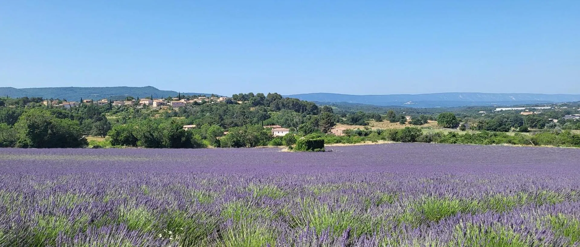 Bed and Breakfast L'Abrico'Thym à Apt France